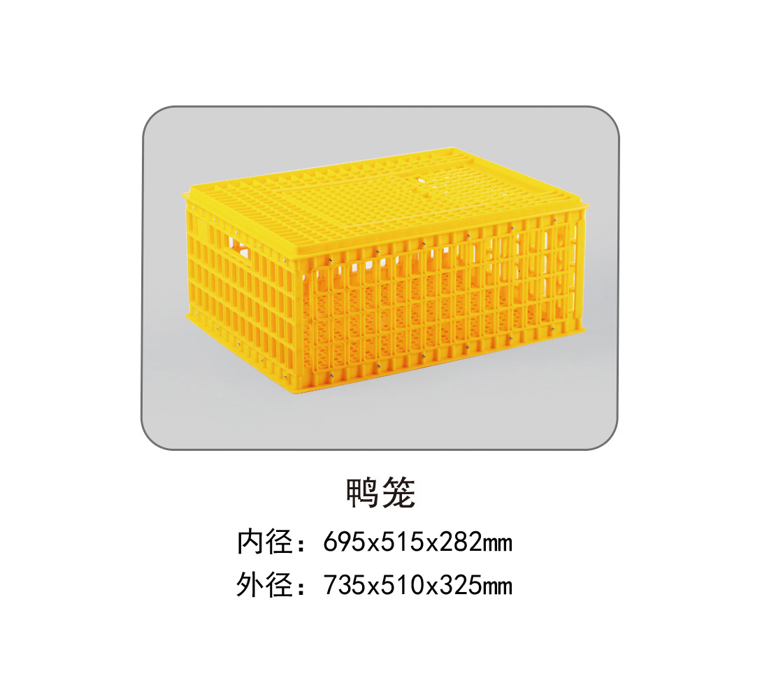 鴨籠