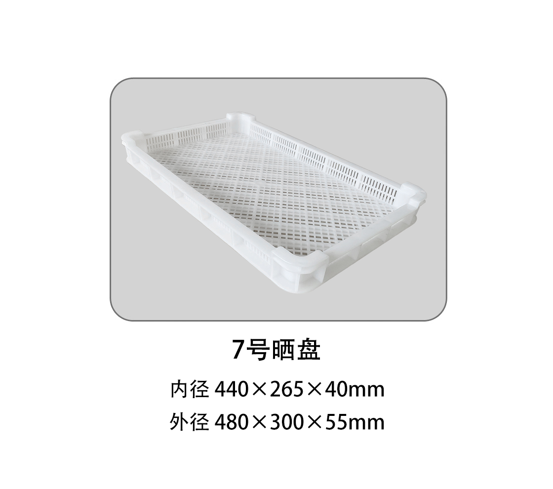 7號曬盤.jpg